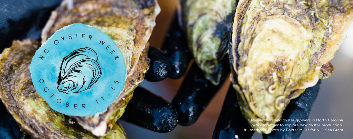 NC-OYSTER-WEEK.png